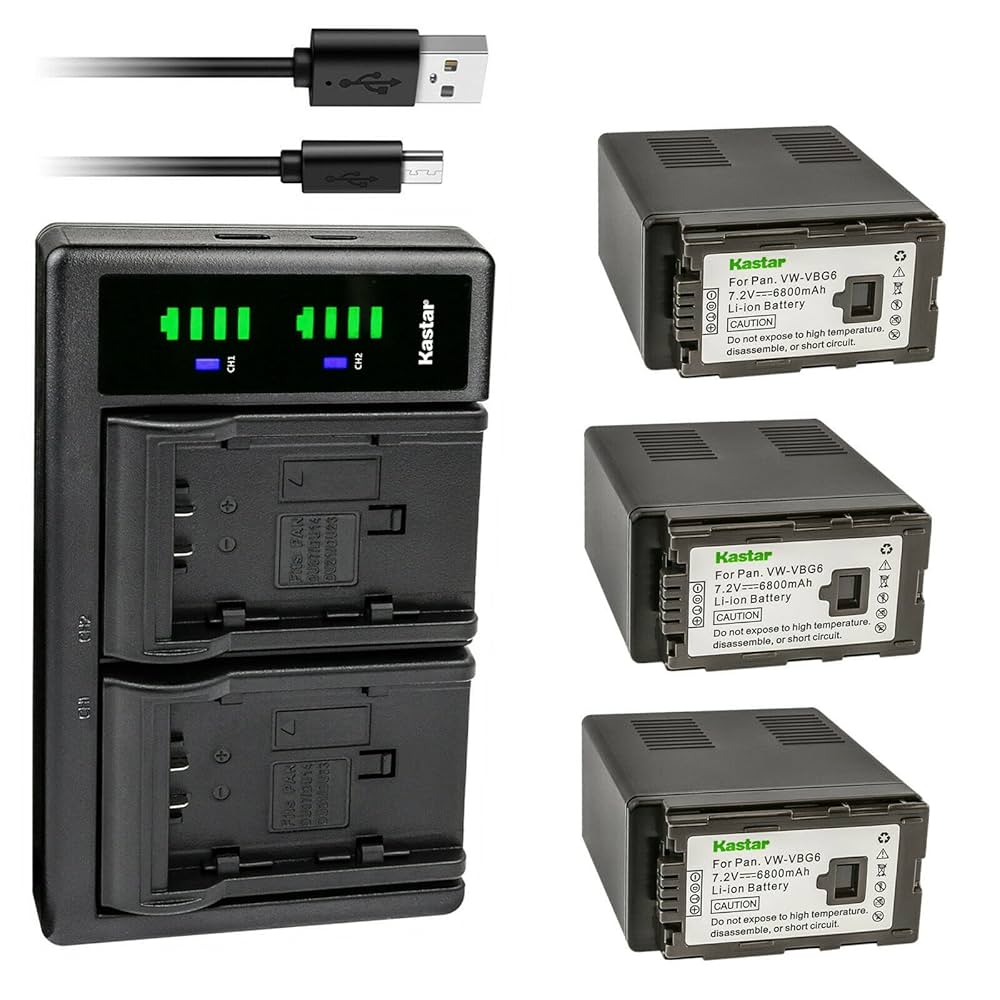 Amazon.com: Kastar 3-Pack VW-VBG6 Battery and LTD2 USB